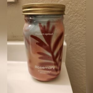 Modern Sprout - Rosemary Hydroponic Grow Kit